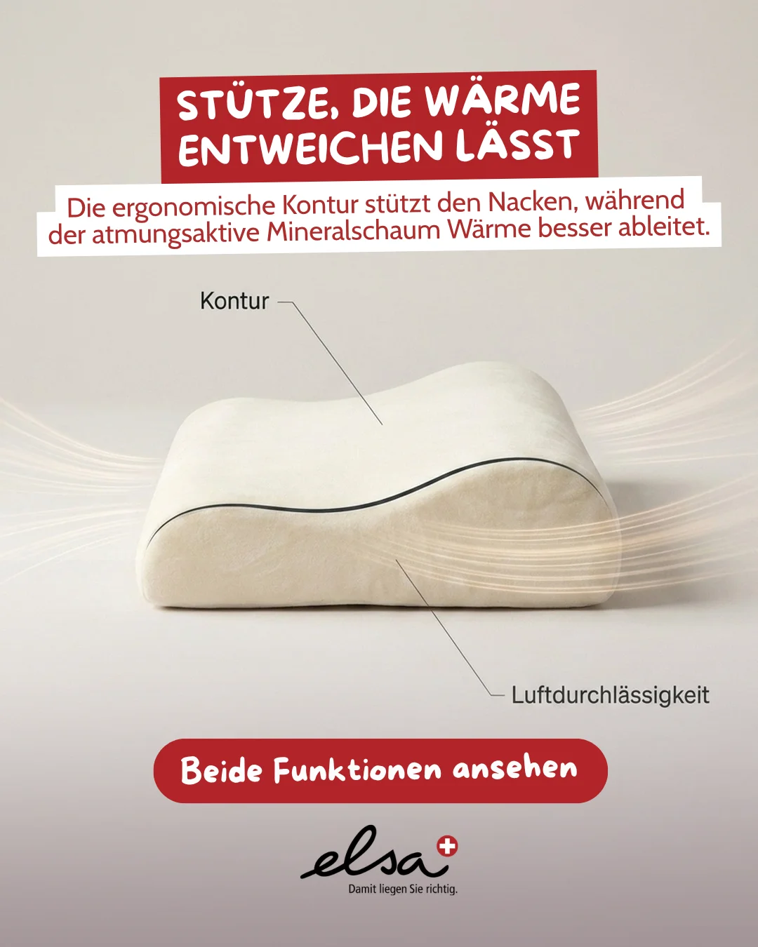 elsa Schweiz: Zwei Aufgaben, ein Kissen